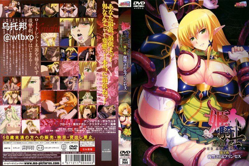 姬骑士安莉漂卡